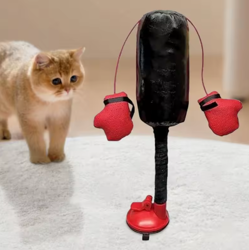 Il gatto guerriero