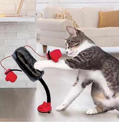 Il gatto guerriero