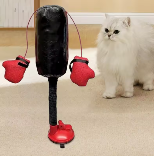 Il gatto guerriero