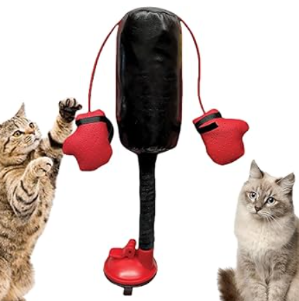 Il gatto guerriero